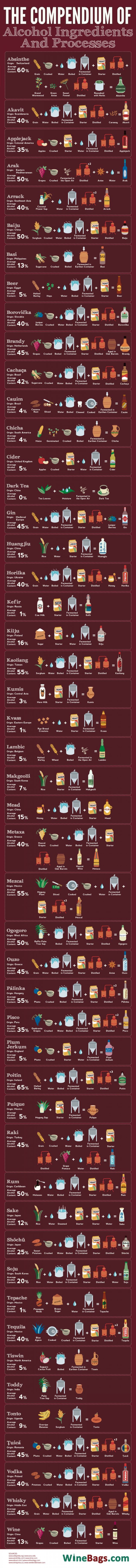 Bartender Infographic